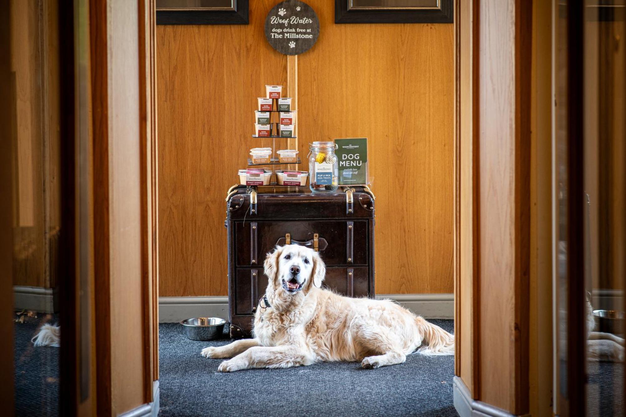 The Millstone, Mellor Hotel Blackburn  Eksteriør billede The Dog Room