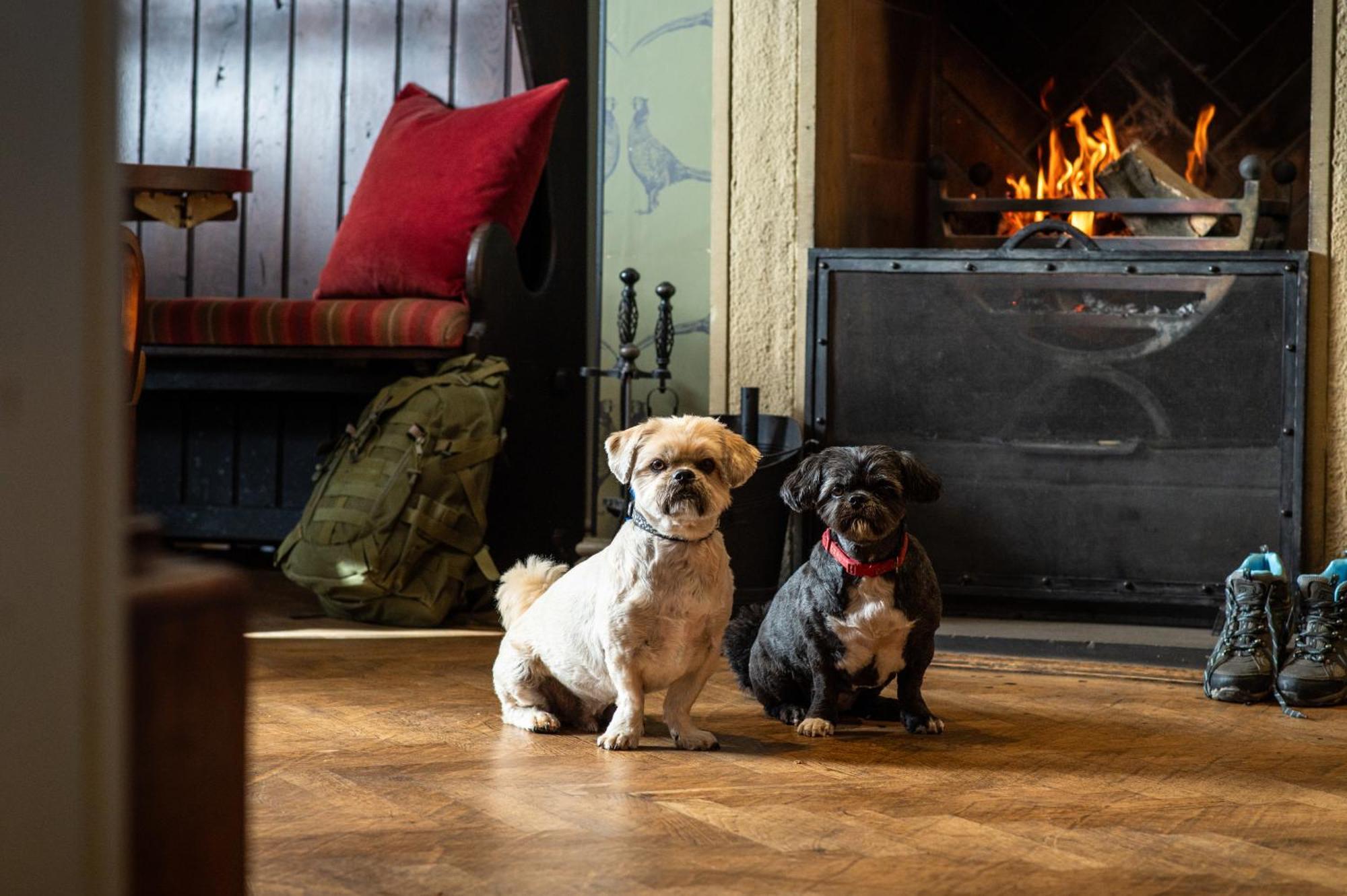 The Millstone, Mellor Hotel Blackburn  Eksteriør billede Dogs at the Inn